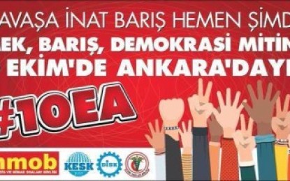 Savaşa İnat Barış Hemen Şimdi